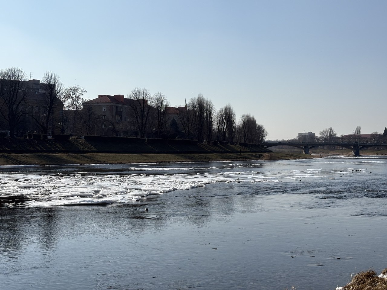 Річка Уж, Ужгород, лід, сніг, течія, небо