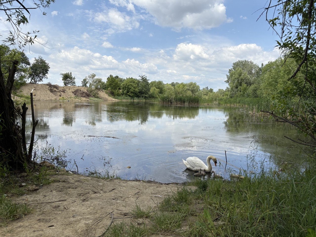 Чорні озера, Ужгород