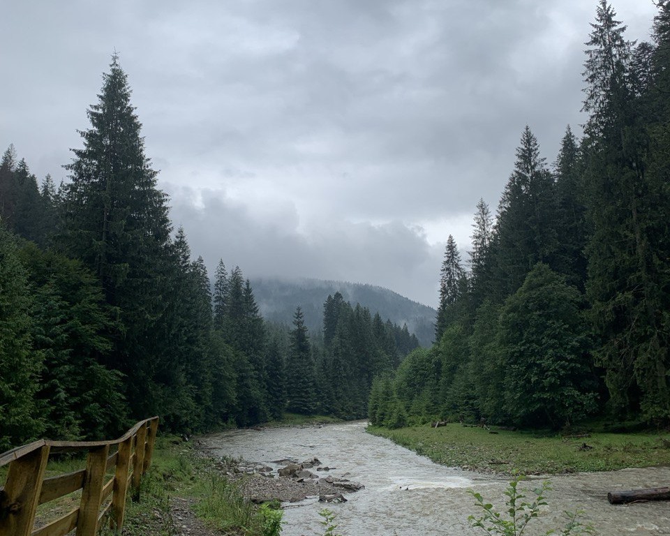 Закарпаття, ліс, гірська річка