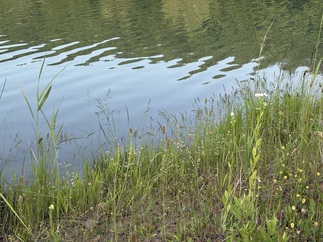 Водойма