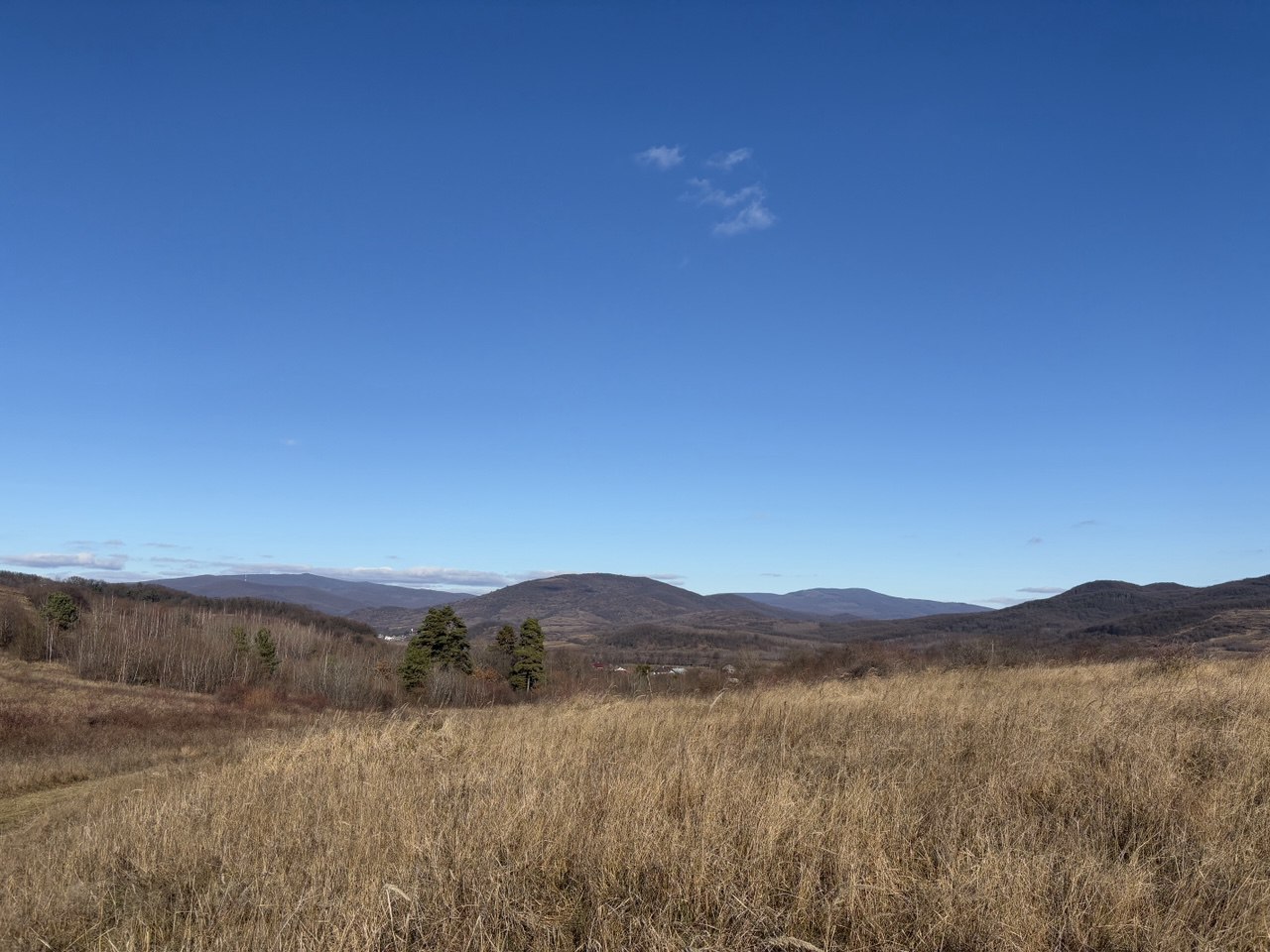 Закарпаття