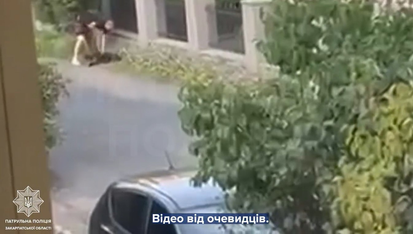 Чоловік кривдить собаку