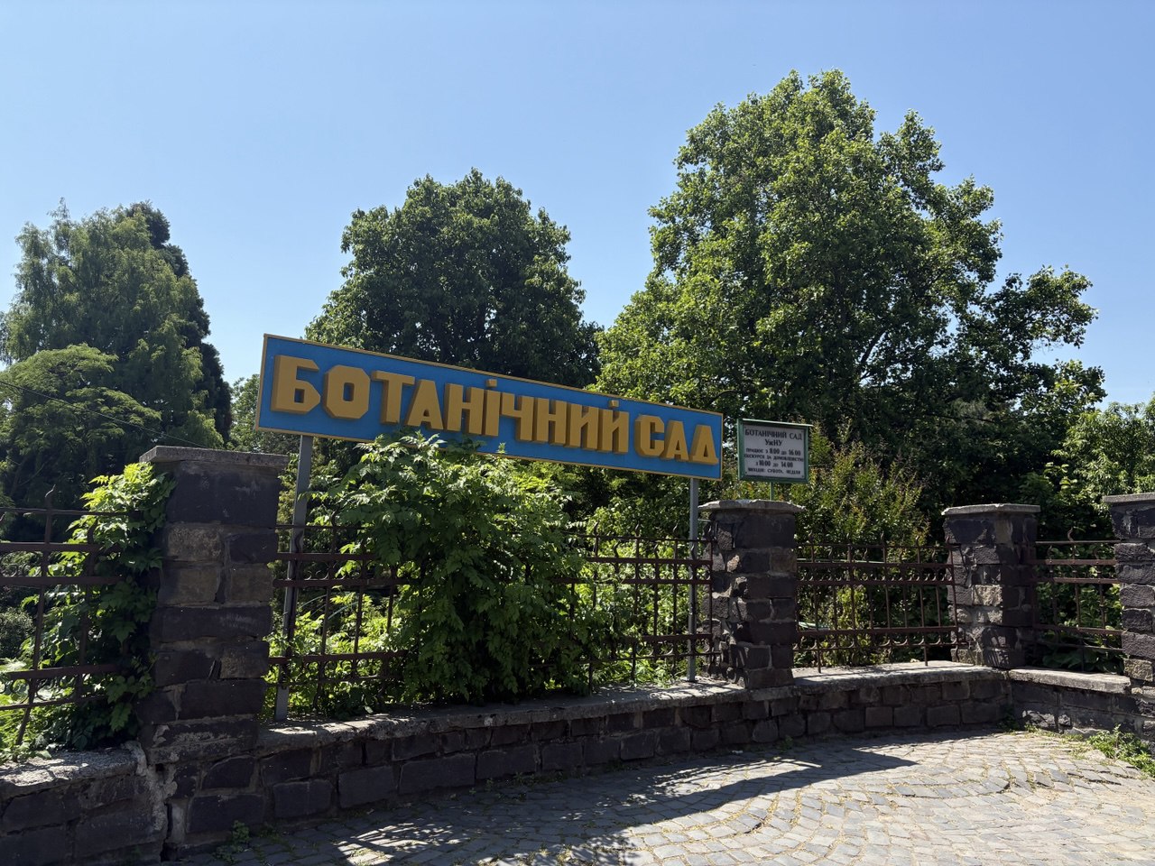 Експосадовця Держземагентства підозрюють у передачі 2,6 га землі ботсаду в Ужгороді під забудову