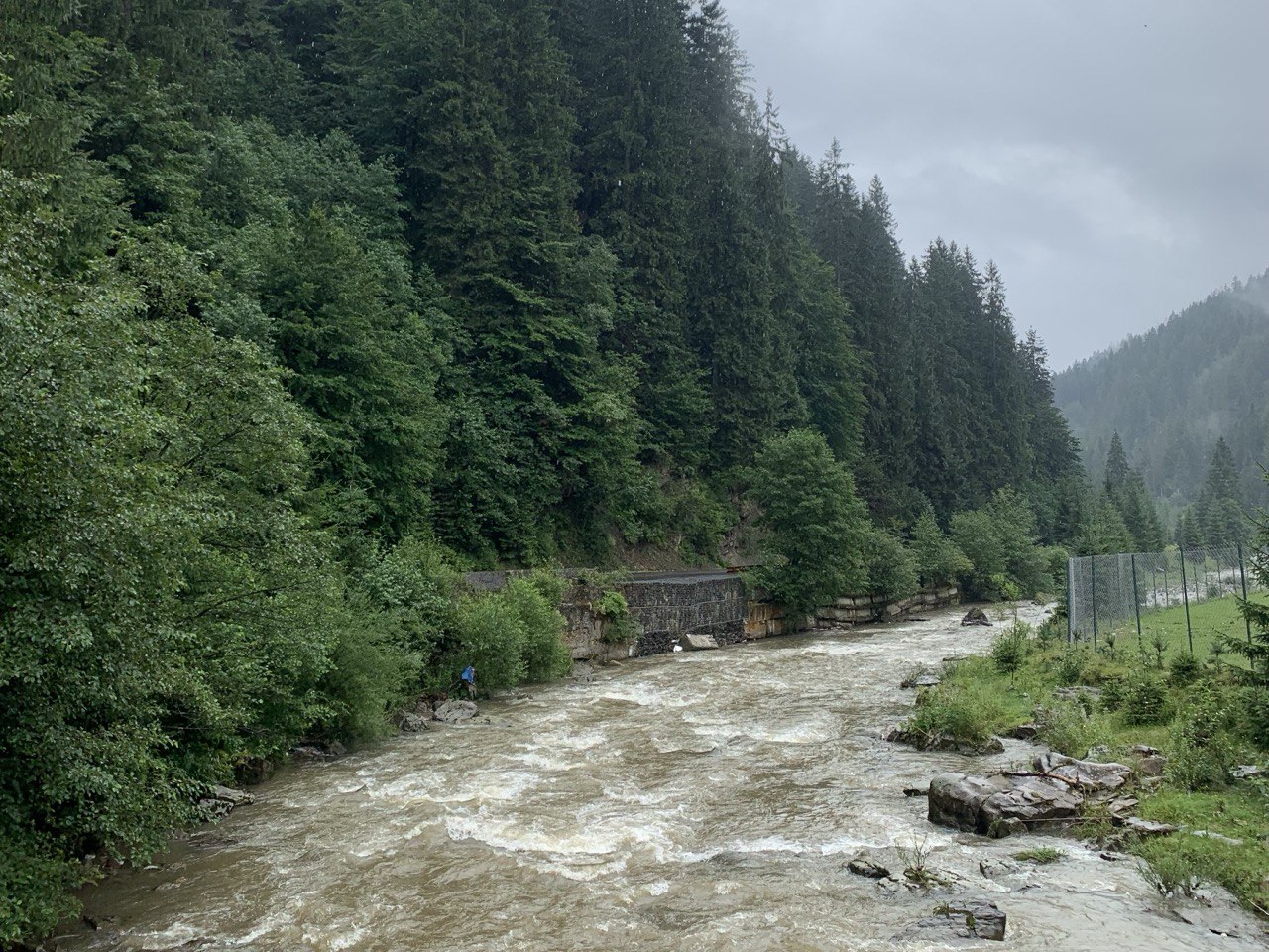Краєвид гірської річки у Карпатах