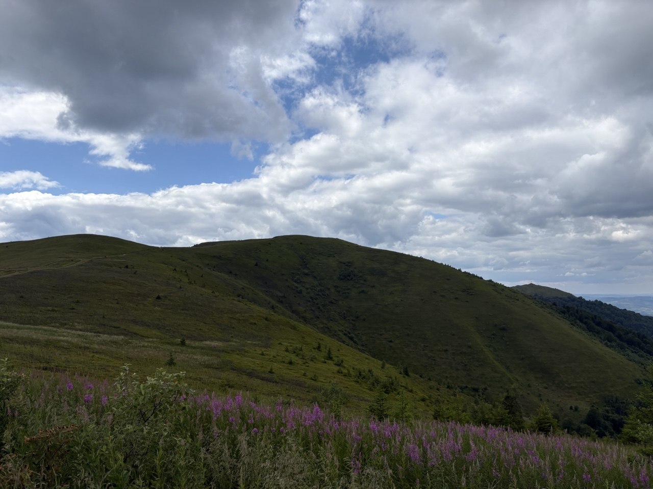 Карпати