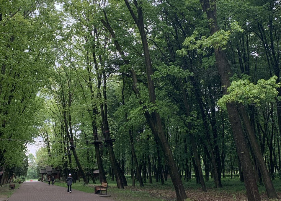 Боздоський парк