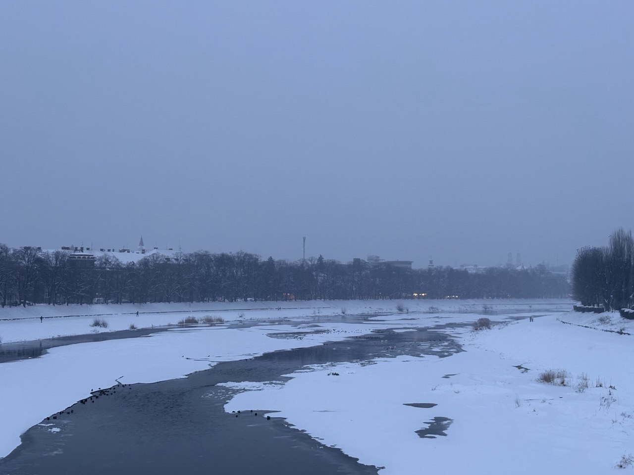 Ужгород, річка Уж, сніг