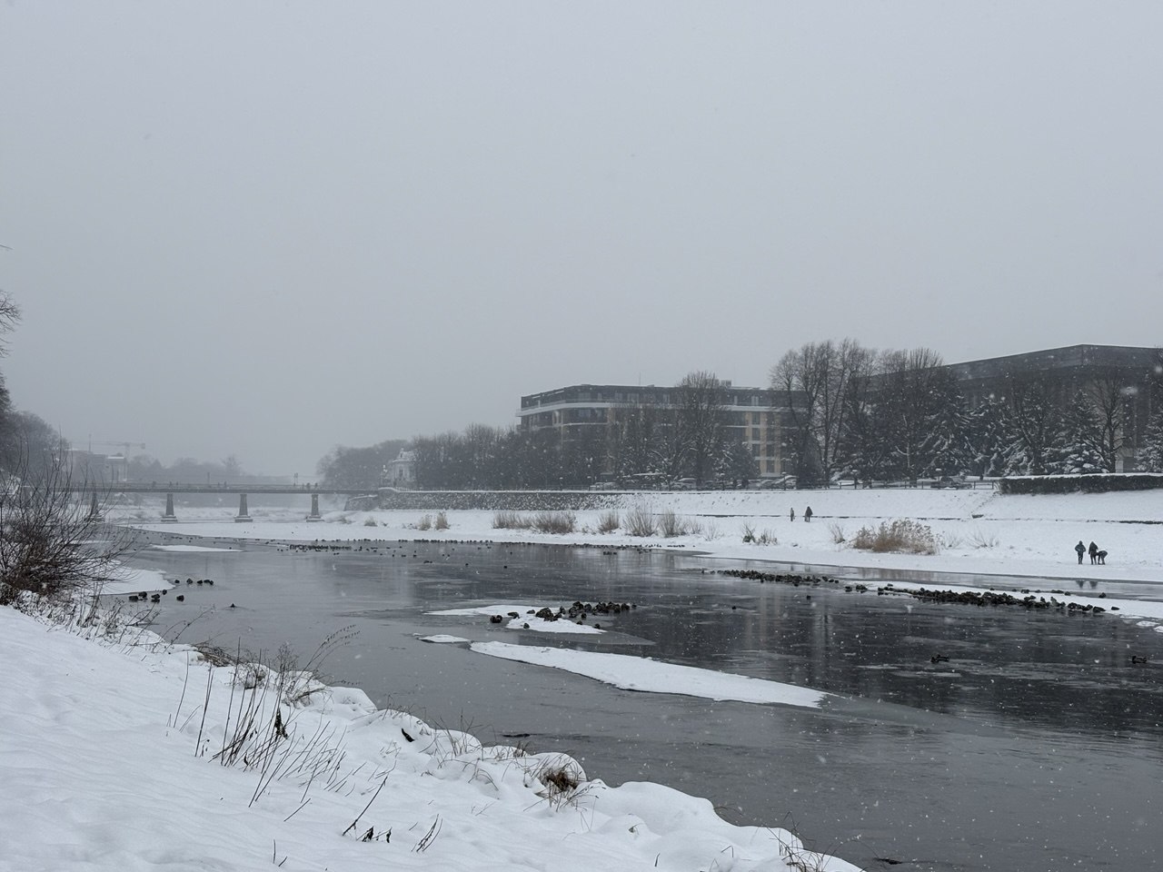 На Закарпатті прогнозують до 5° морозу та сніг