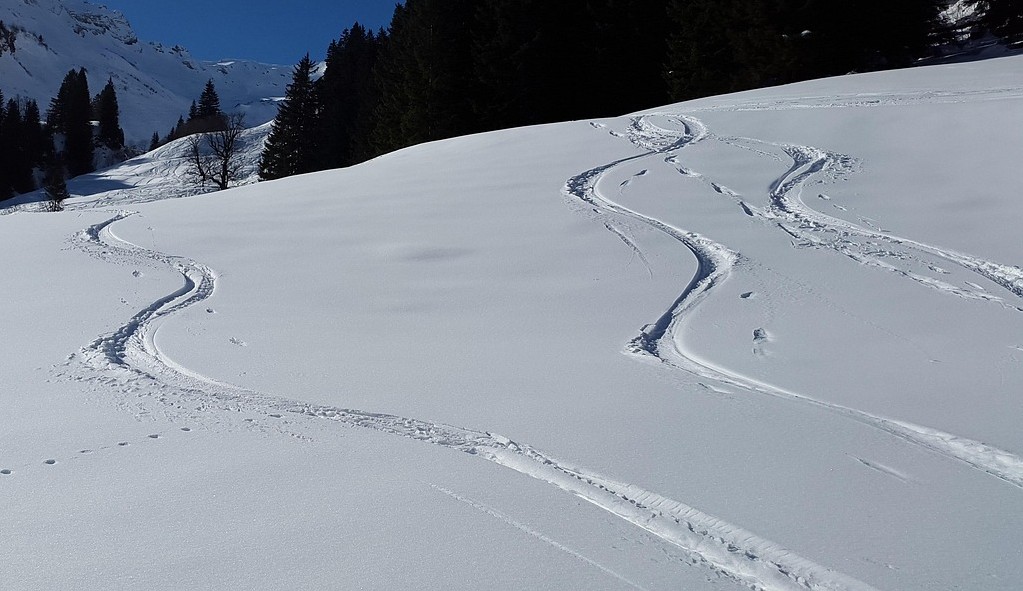 Лижні траси