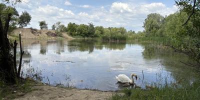 Чорні озера, Ужгород