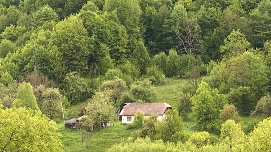 Вид із Жорнави