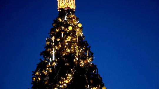 Новорічна ялинка в Ужгороді