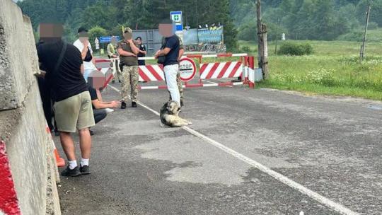 Затримання піозрюваного