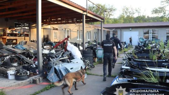 Затримання фігурантів