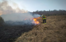Пожежа на полі на Закарпатті