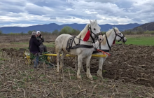 Орання землі у Нижньому Селищі