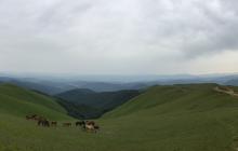 Полонина Апецька