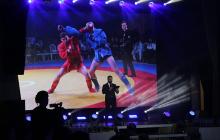 Турнір із самбо