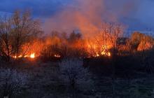 Поряд з квітучими кущами - полум‘я