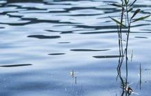 Фотоілюстрація 