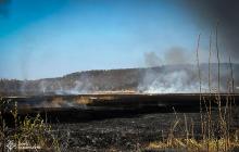 Пожежа на полі біля Виноградова