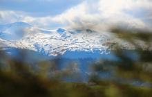 Гірський масив "Свидовець" навесні