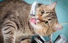 Води не буде знову через ремонт