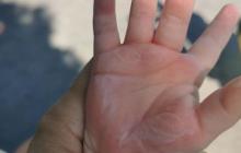 Фотоілюстрація 