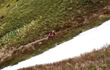 Через низьку температуру сніг у Карпатах може тривати цілоріч