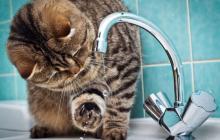 Води не буде упродовж двох годин 