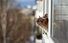 Завтра, 7 лютого, на Закарпатті буде 13° тепла