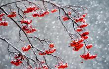 За прогнозами синоптиків у Закарпатській області буде дощ з мокрим снігом 