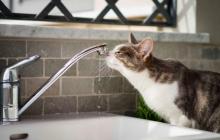 Води в Мукачеві не буде з 9 по 16 години