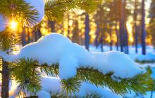 На Закарпатті завтра буде до 11° тепла