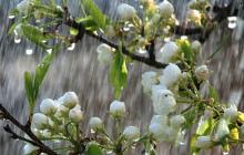 На Закарпатті прогнозують похолодання 