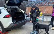 Службовий пес Балу натренований на пошук прихованих грошей 