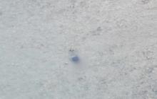 Прикордонники зазначають, що Тиса зараз вкрай небезпечна 