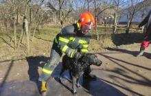 Змучений, але щасливий пес із своїм рятівником 