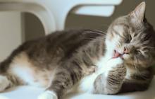 16 лютого в області буде без опадів 