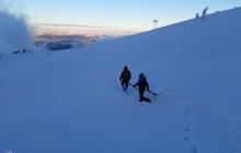 Пошуки заблукалого