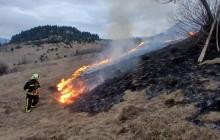 Загоряння сухостою