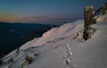 Пошуки заблукалого