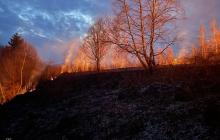 Пожежі унаслідок паління сухостою