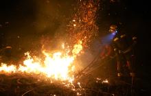 Пожежі в екосистемах на Закарпатті