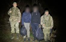 Заблукалі утікачі