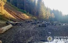 Зафіксовані незаконні рубки