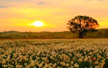 Нацпарки Закарпаття