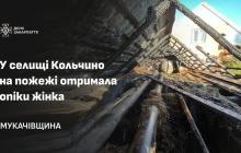 Наслідки пожежі у Кольчино