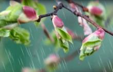 На завтра прогнозують невеликий дощ у горах та 17° тепла