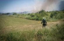 Пожежі в екосистемах Закарпаття